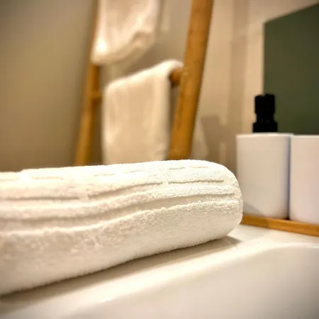 Apartment Le Bain De Lea, Au Coeur De Carcassonne